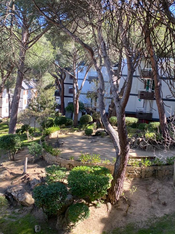 Apt Romantico Con Chimenea Con Fibra Optica Y Terraza San Martin de Valdeiglesias Exterior photo